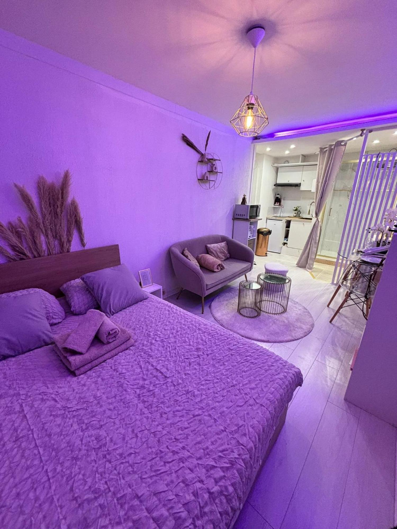 Apartment L'elysee